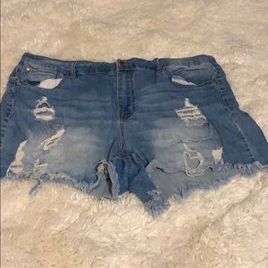 Dollhouse plus size distressed shorts